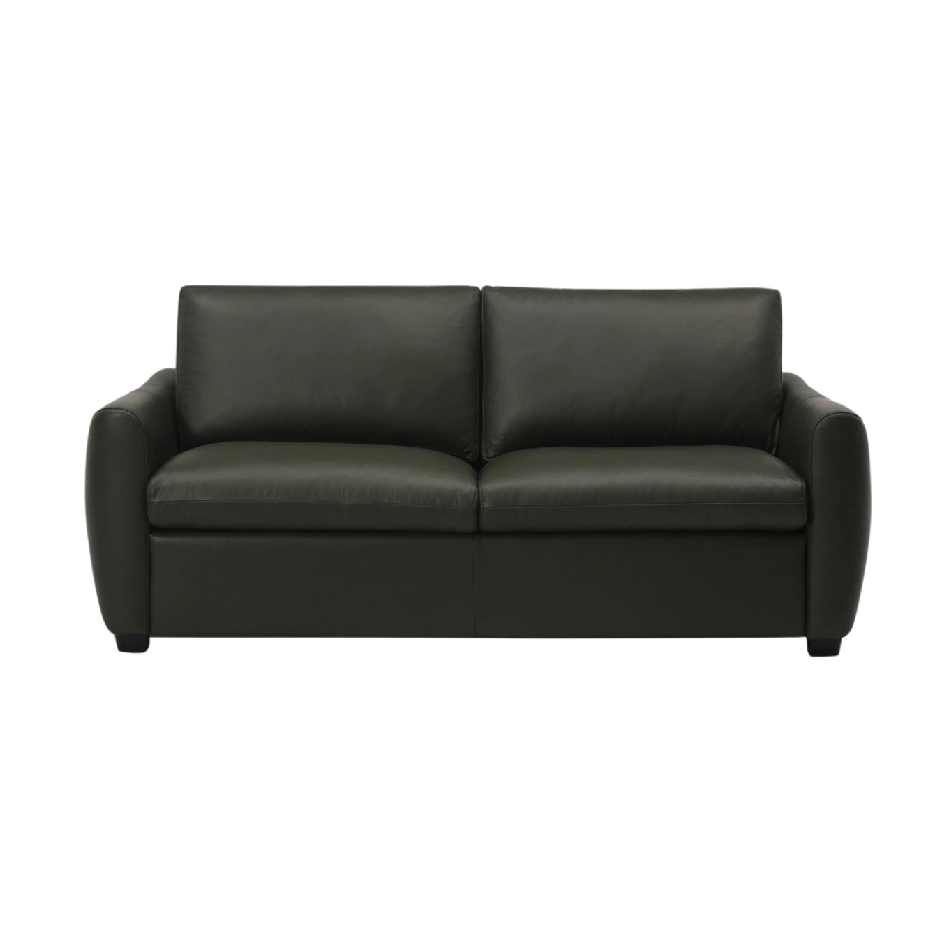 Charli Sleeper Sofa
