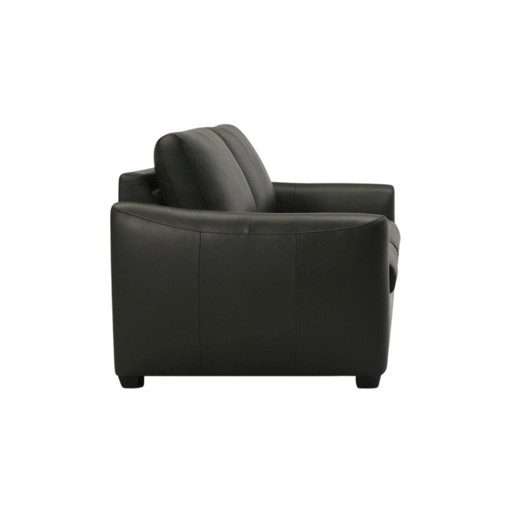 Charli Sleeper Sofa