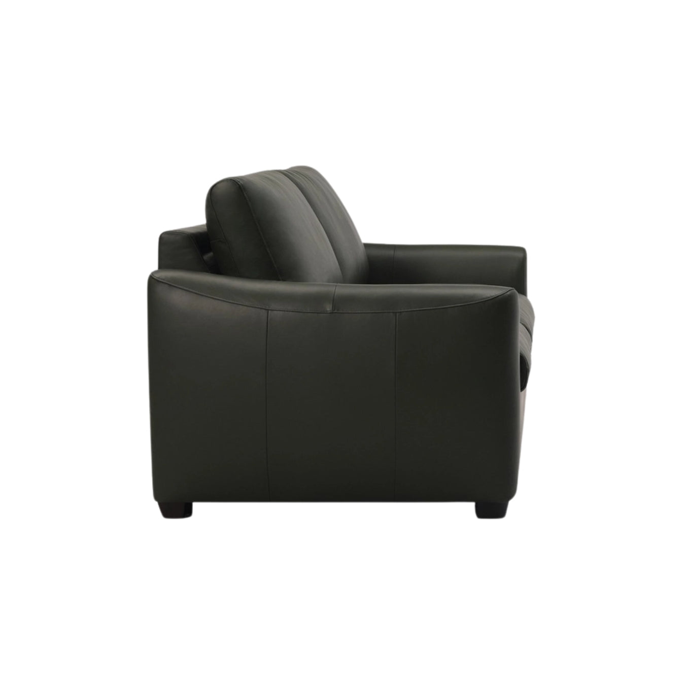 Charli Sleeper Sofa