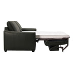 Charli Sleeper Sofa