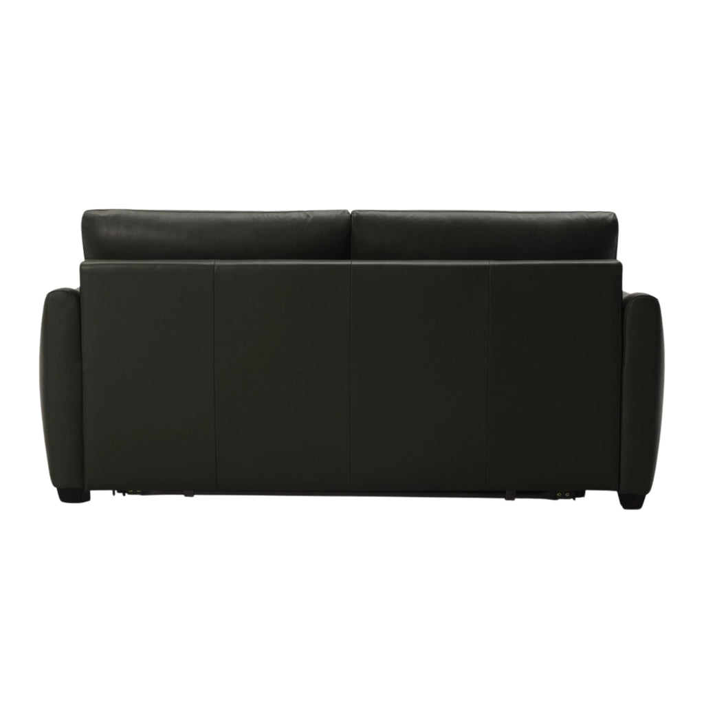 Charli Sleeper Sofa