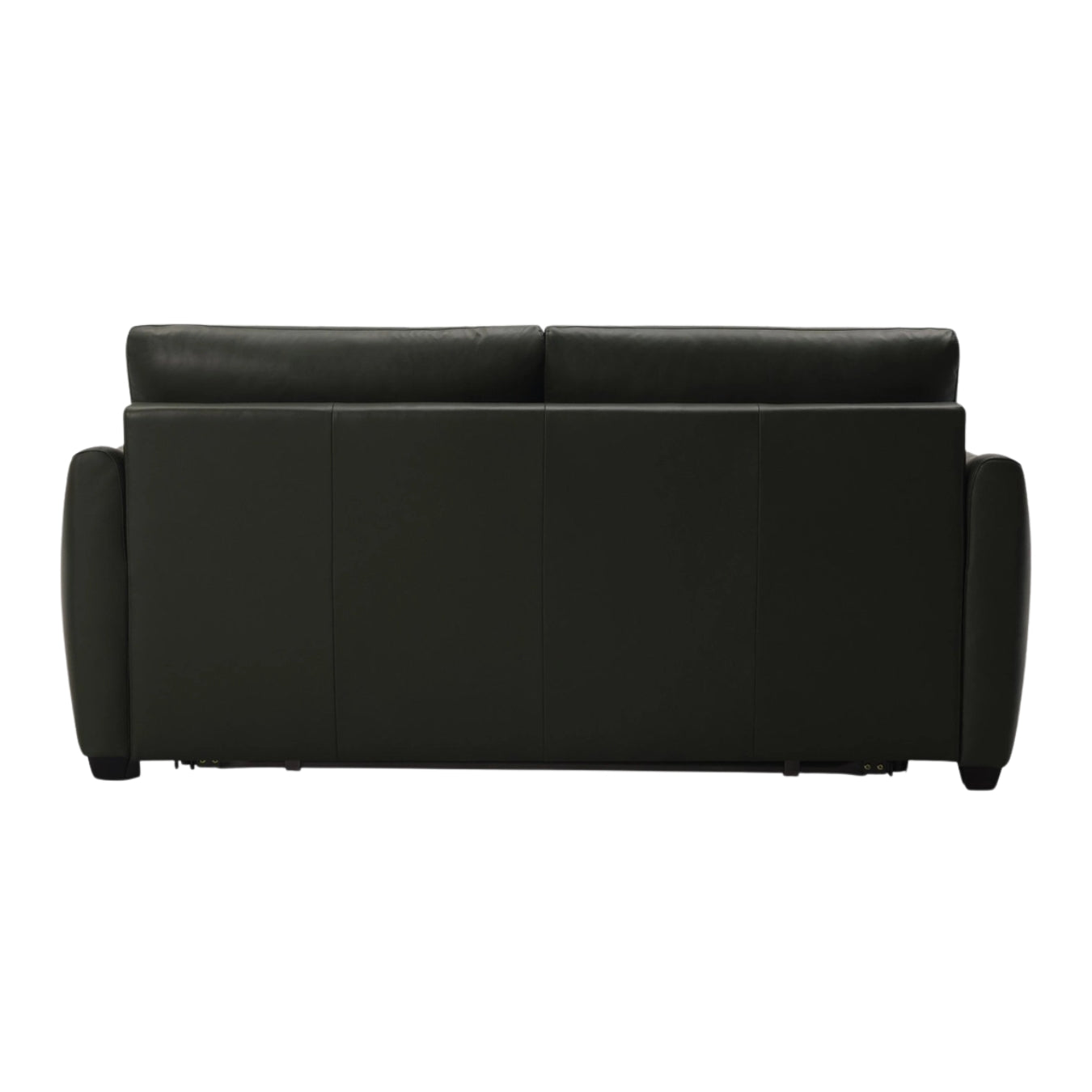 Charli Sleeper Sofa