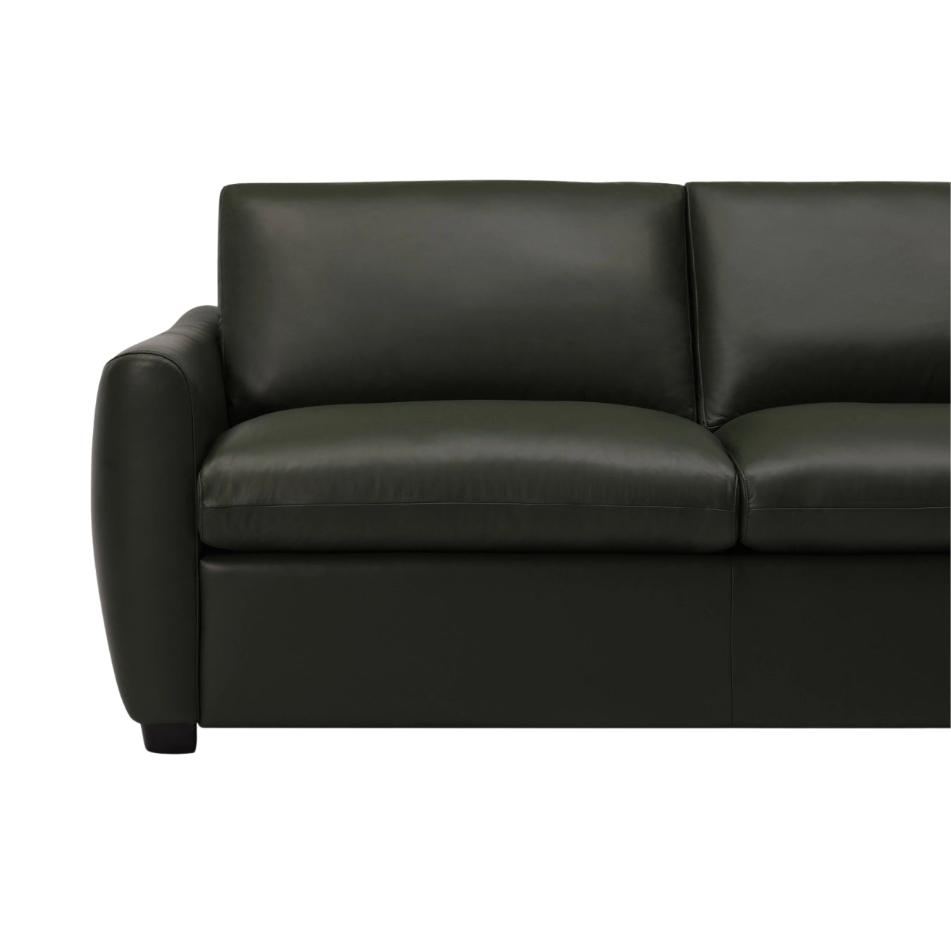 Charli Sleeper Sofa