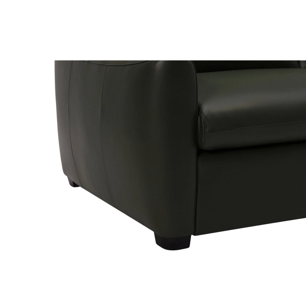 Charli Sleeper Sofa