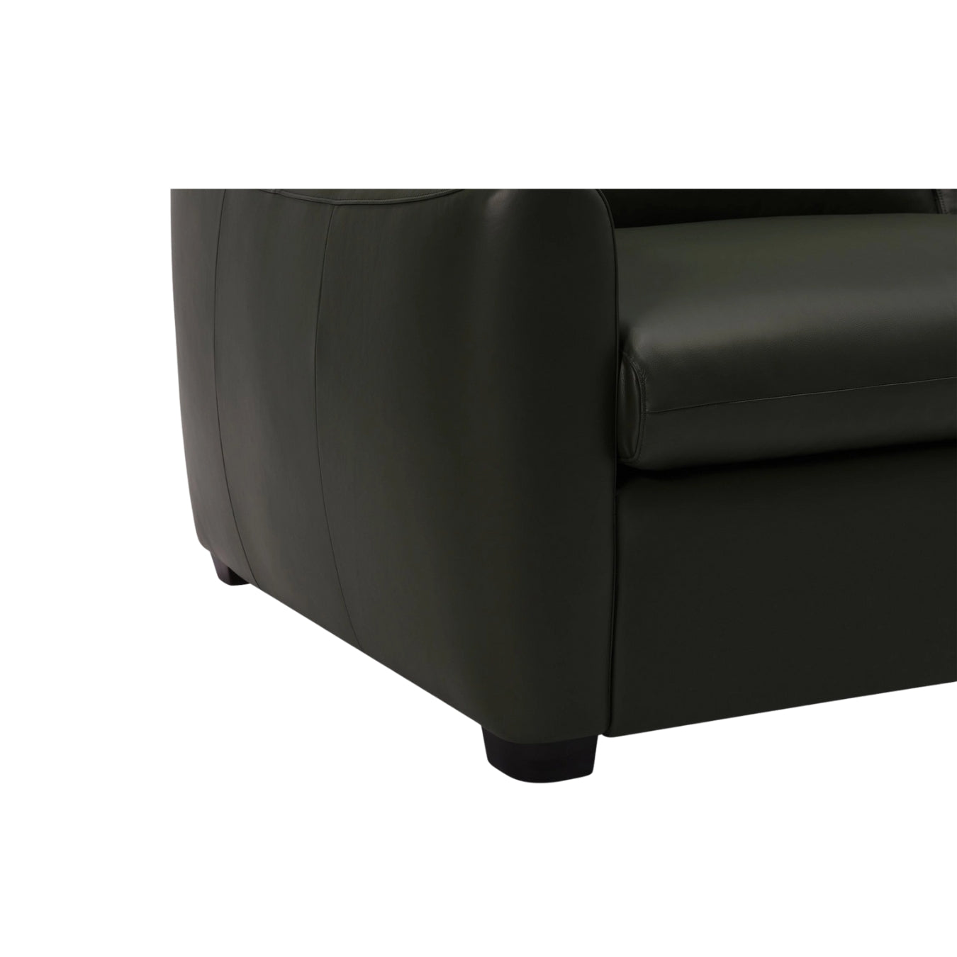 Charli Sleeper Sofa